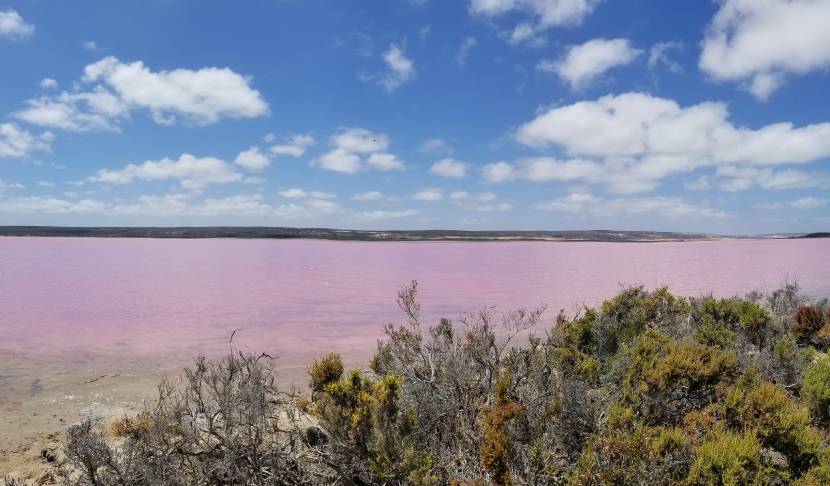 Extraordinary and Unique Places in The World, Lake Hillier, Western Australia