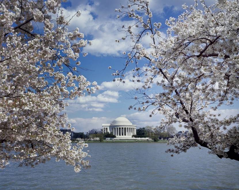 Places for Enjoying Springtime: Washington