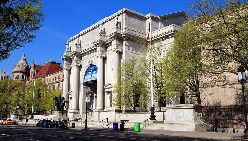 Must-see Places in New York - The American Museum of Natural History