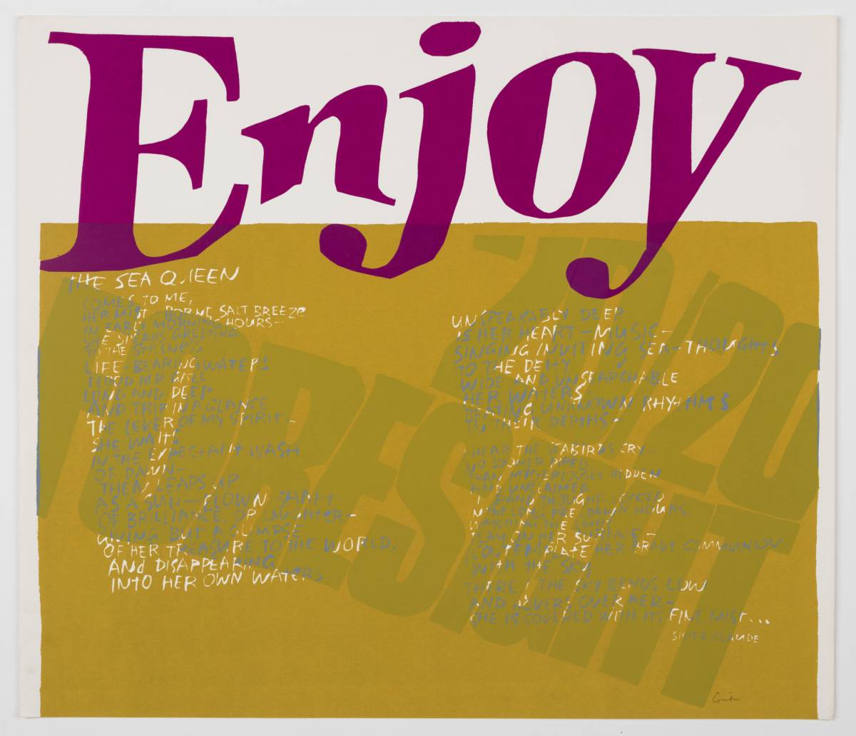 Poster of Enjoy – the mumok Collection in Change